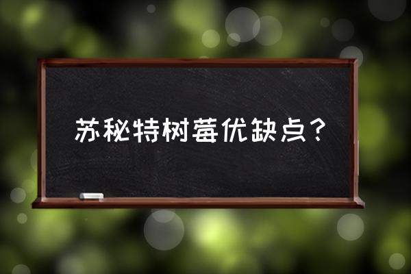 树莓果酱怎么做好吃 苏秘特树莓优缺点？