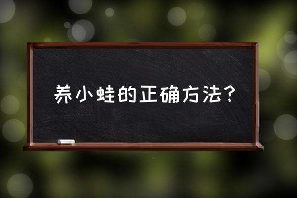 室内养青蛙的最佳方法 养小蛙的正确方法？