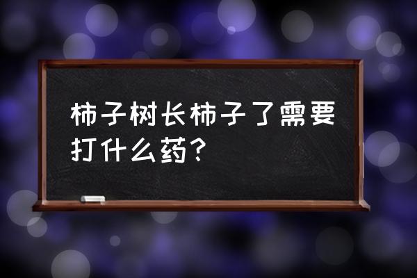 柿子树打药时间表 柿子树长柿子了需要打什么药？