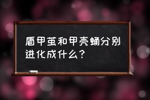 宝可梦钻石盾甲龙位置 盾甲茧和甲壳蛹分别进化成什么？