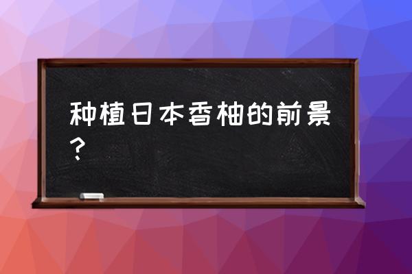 柠檬未来10年前景 种植日本香柚的前景？