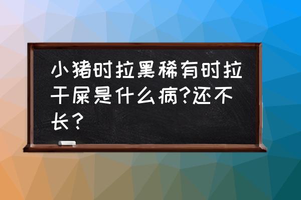 猪仔拉黑绿稀粪怎么处理 小猪时拉黑稀有时拉干屎是什么病?还不长？