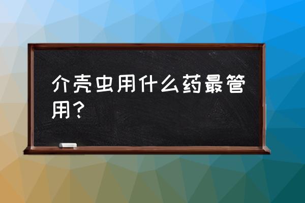 杀介壳虫最有效的杀虫剂 介壳虫用什么药最管用？