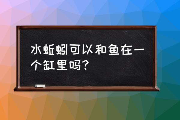 怎样去除蚯蚓体内的杂质 水蚯蚓可以和鱼在一个缸里吗？