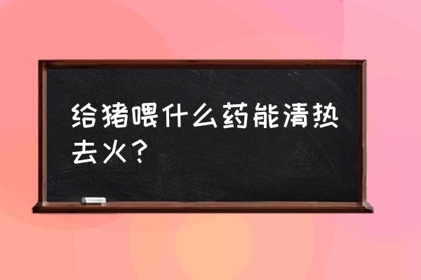 猪中暑了不吃怎么治 给猪喂什么药能清热去火？