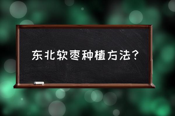 软枣怎么长期保存 东北软枣种植方法？