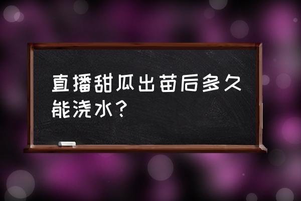 甜瓜几天浇水最好 直播甜瓜出苗后多久能浇水？