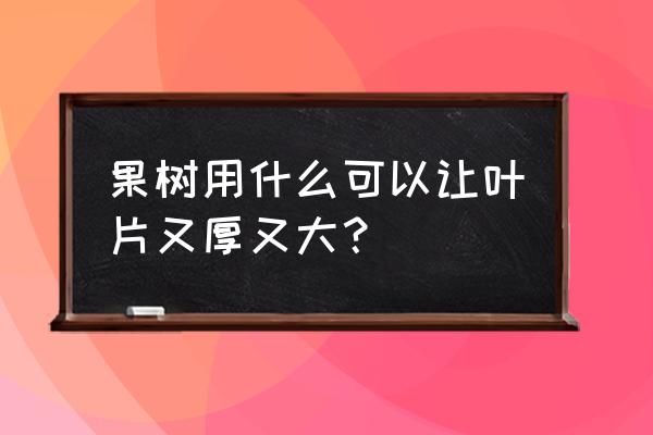 果树防裂的最好方法 果树用什么可以让叶片又厚又大？