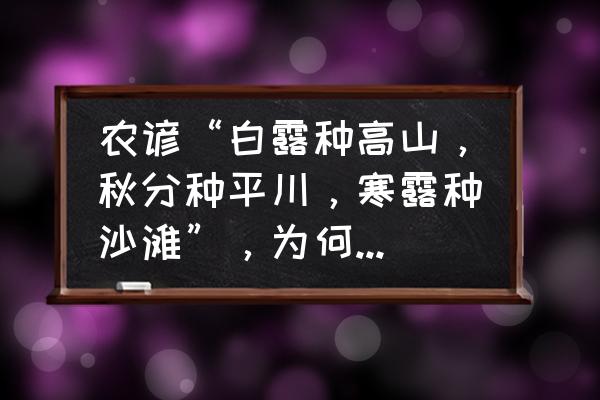 秋天适合种什么 农谚“白露种高山，秋分种平川，寒露种沙滩”，为何是这样呢？有道理吗？