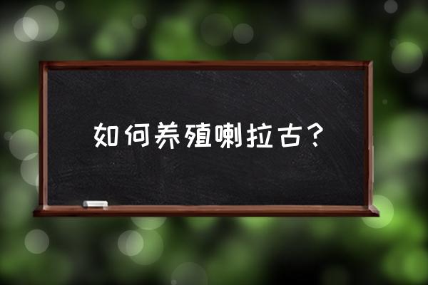 蝼蛄的中药加工方法 如何养殖喇拉古？