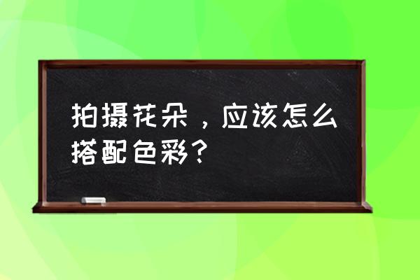 简单黑白花画法 拍摄花朵，应该怎么搭配色彩？