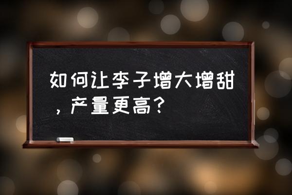 李子树盛产期一株产多少斤 如何让李子增大增甜，产量更高？