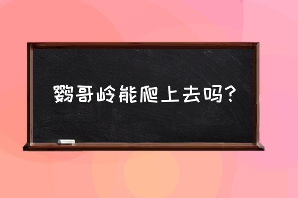 爬五指山最佳路线图 鹦哥岭能爬上去吗？