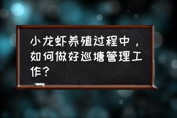 龙虾养殖塘口怎么养比较好图文 小龙虾养殖过程中，如何做好巡塘管理工作？