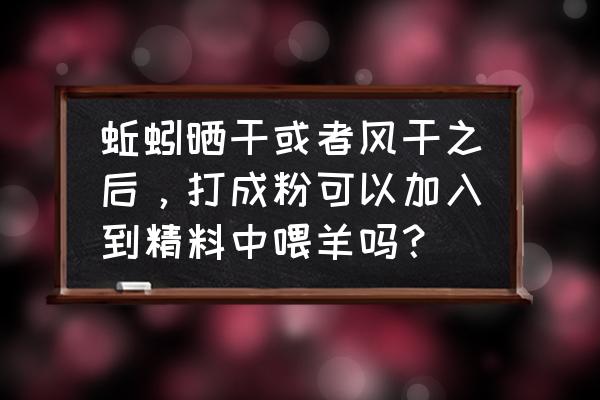 蚯蚓干晒干的正确方法 蚯蚓晒干或者风干之后，打成粉可以加入到精料中喂羊吗？