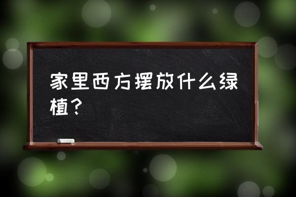 丝兰东北能栽种吗 家里西方摆放什么绿植？