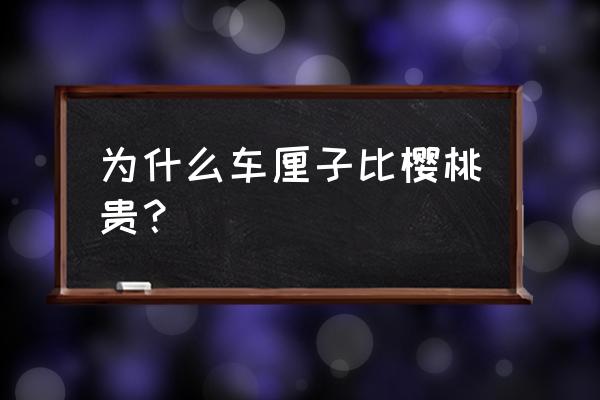 樱桃为什么大的便宜小的贵 为什么车厘子比樱桃贵？