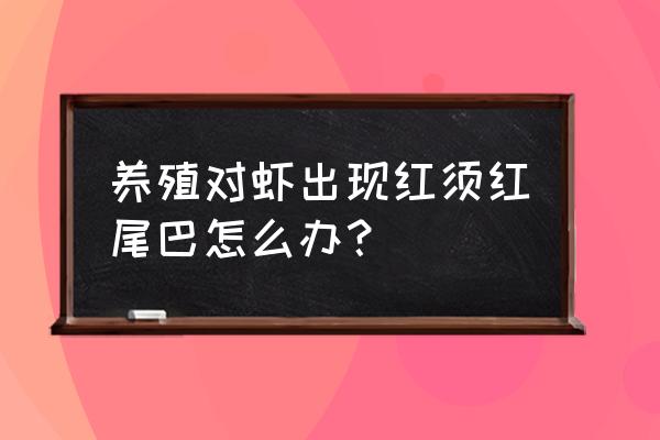 对虾有黄黑鳃烂鳃怎么处理 养殖对虾出现红须红尾巴怎么办？