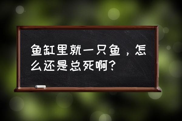 一般鱼池要不要文氏增氧管 鱼缸里就一只鱼，怎么还是总死啊？