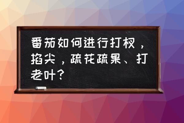 今天番茄可不可以修枝剪枝 番茄如何进行打杈，掐尖，疏花疏果、打老叶？