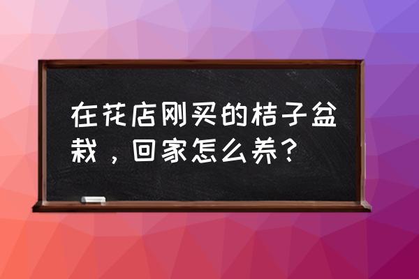 春天鼻子干燥怎么解决 在花店刚买的桔子盆栽，回家怎么养？