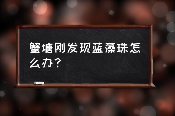 蟹塘杀蓝藻后多久解毒最好 蟹塘刚发现蓝藻珠怎么办？