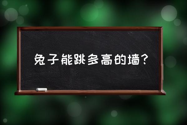 散养兔子围栏多高 兔子能跳多高的墙？