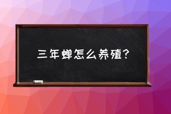 知了猴能在花盆里养吗 三年蝉怎么养殖？