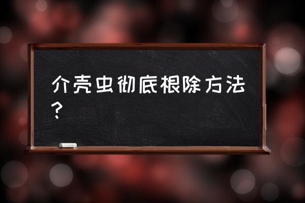 介壳虫最佳消灭方法 介壳虫彻底根除方法？