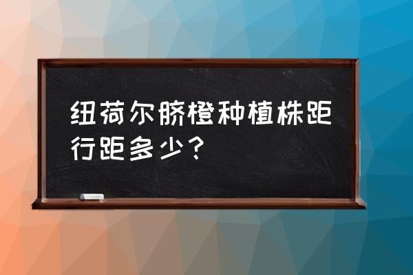 脐橙树盆栽的栽培方法 纽荷尔脐橙种植株距行距多少？