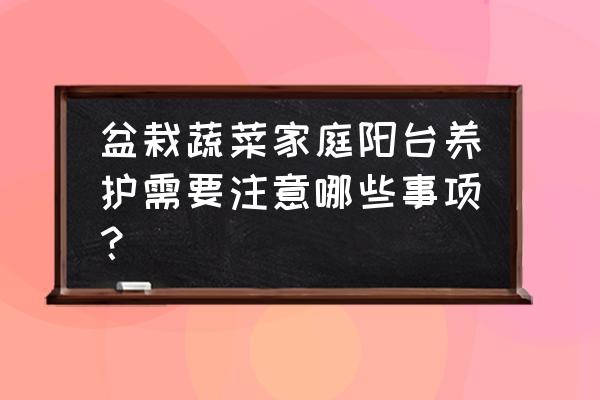 阳台种番薯叶有没有忌讳 盆栽蔬菜家庭阳台养护需要注意哪些事项？