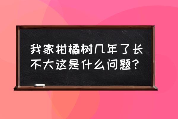 地下城堡3 全攻略世界之树 我家柑橘树几年了长不大这是什么问题？