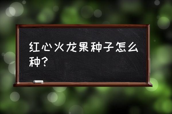 自制火龙果盆栽架子 红心火龙果种子怎么种？