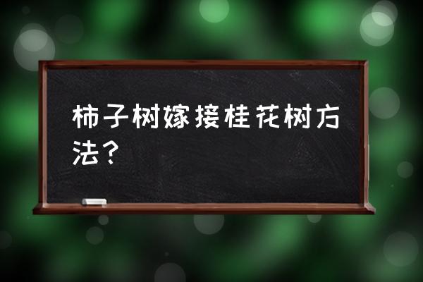 嫁接桂花用什么砧木最好 柿子树嫁接桂花树方法？