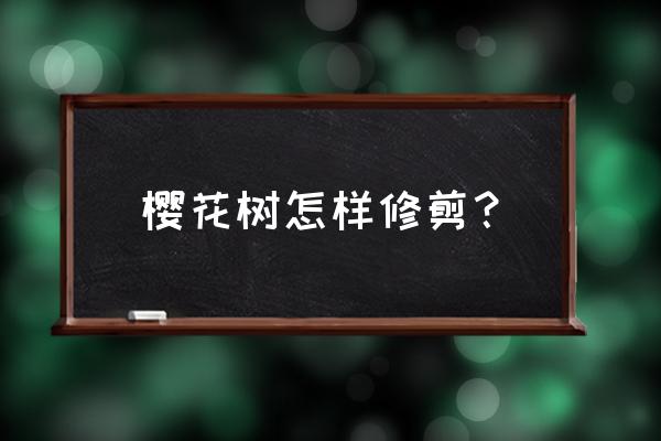 最简单的剪樱花 樱花树怎样修剪？