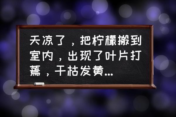 冬天柠檬树叶子发黄怎么办 天凉了，把柠檬搬到室内，出现了叶片打蔫，干枯发黄，一碰就掉的情况，是怎么回事？