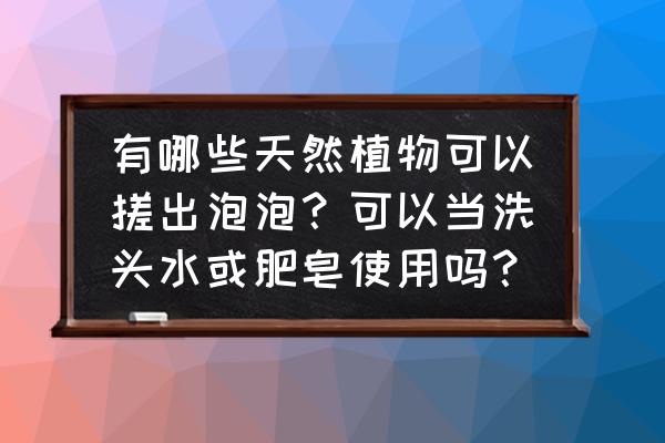 什么树插水就能活 有哪些天然植物可以搓出泡泡？可以当洗头水或肥皂使用吗？