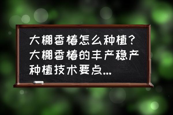 冬天可以养殖桑黄吗 大棚香椿怎么种植？大棚香椿的丰产稳产种植技术要点有哪些？