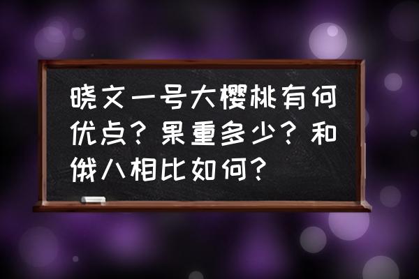 俄八大樱桃品种介绍 晓文一号大樱桃有何优点？果重多少？和俄八相比如何？