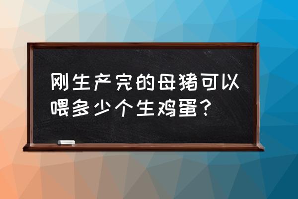 配怀母猪冬季饲喂量 刚生产完的母猪可以喂多少个生鸡蛋？