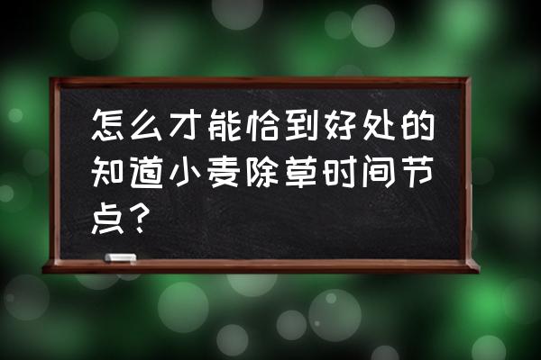 麦苗助手怎么让它不显示在通知栏 怎么才能恰到好处的知道小麦除草时间节点？