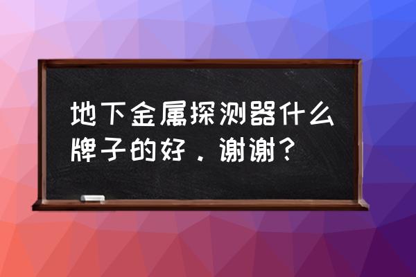 进口金属探测器哪款好 地下金属探测器什么牌子的好。谢谢？