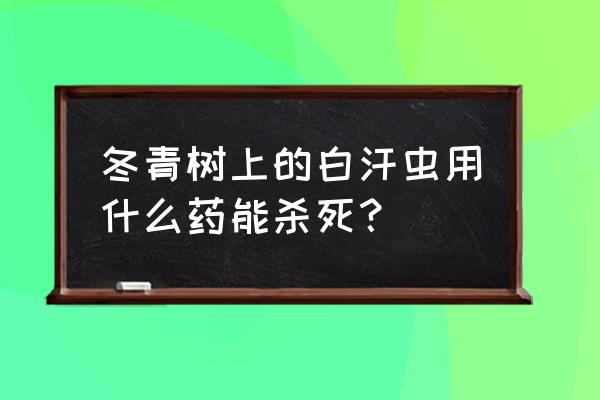 苹果树叶子长白斑是怎么回事 冬青树上的白汗虫用什么药能杀死？