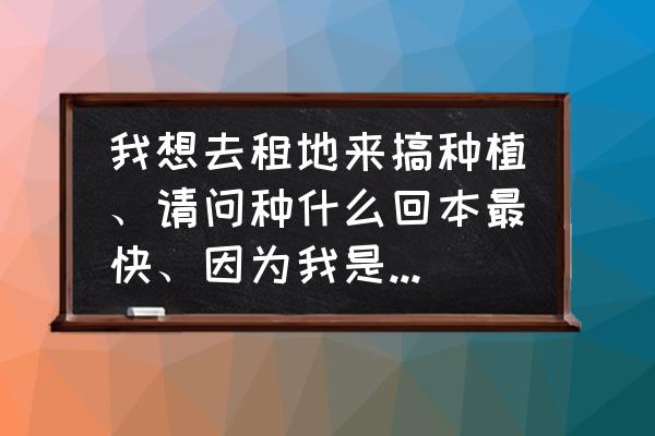 桃园新手赚钱攻略 我想去租地来搞种植、请问种什么回本最快、因为我是贷款来做？