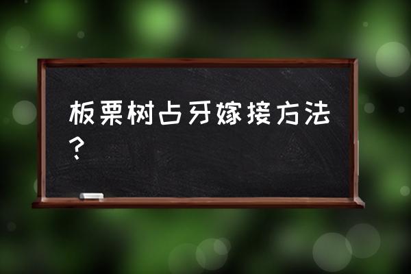 板栗树嫁接几种方法 板栗树占牙嫁接方法？