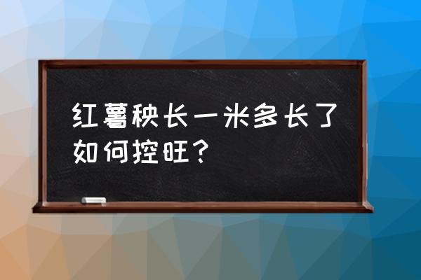 红薯现在如何管理控制旺长 红薯秧长一米多长了如何控旺？