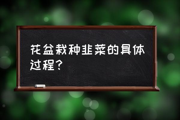 花盆里种韭菜的正确方法 花盆栽种韭菜的具体过程？