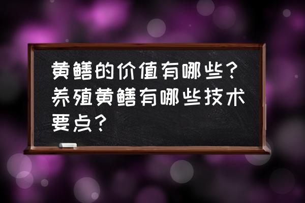 每天吃黄鳝有什么好处 黄鳝的价值有哪些？养殖黄鳝有哪些技术要点？