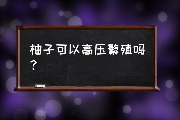 柚子高压繁殖多久生根 柚子可以高压繁殖吗？