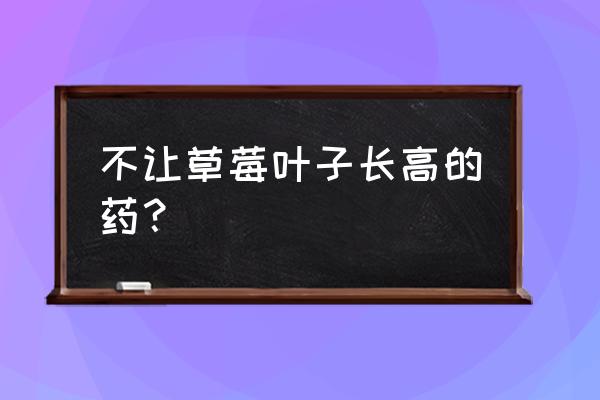 草莓长了很长的枝条要剪去吗 不让草莓叶子长高的药？